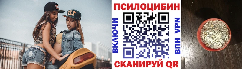 Псилоцибиновые грибы Magic Shrooms  Купить  Кудымкар 